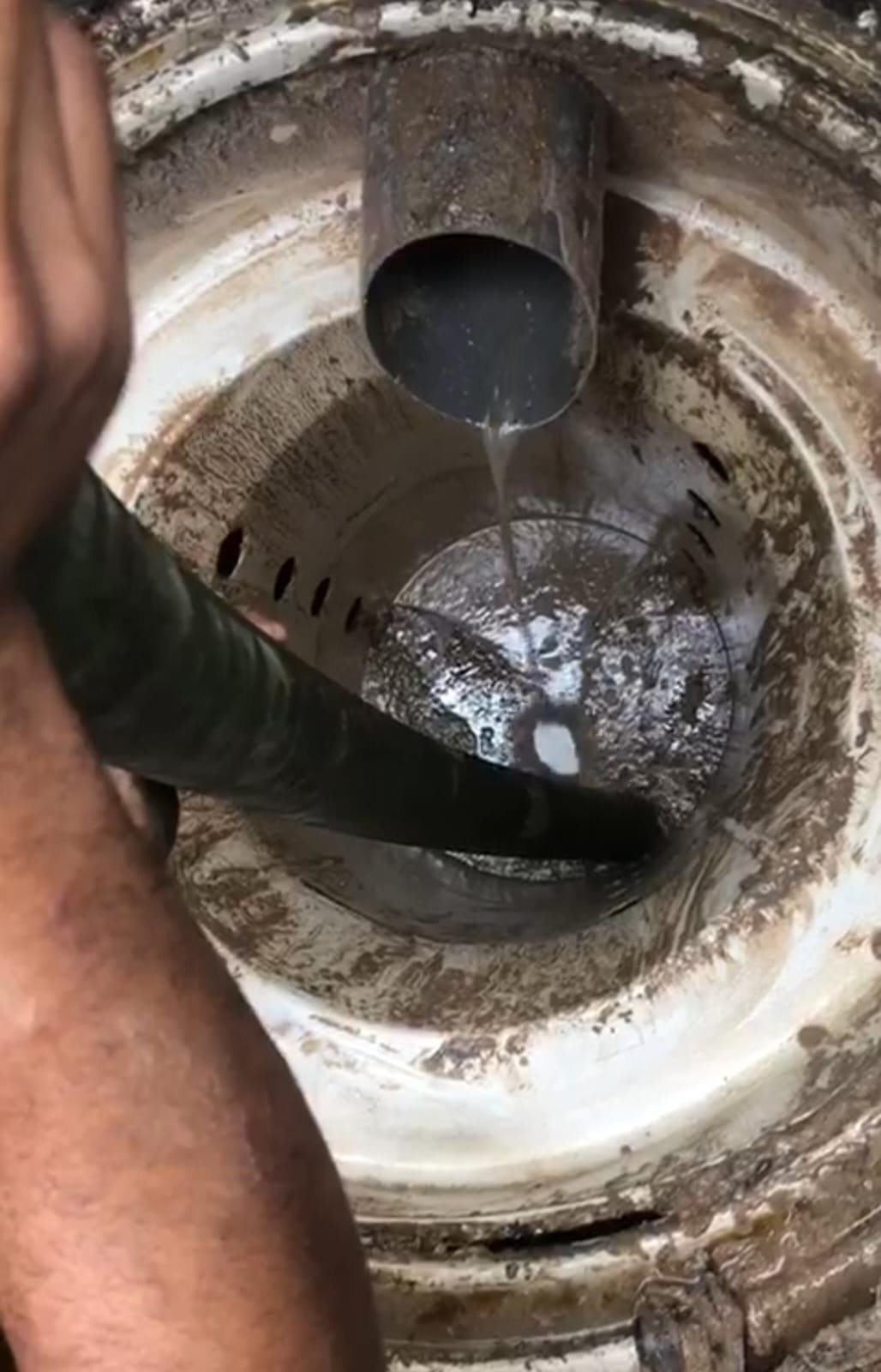 صورة بعد التنظيف - النتيجة النهائية